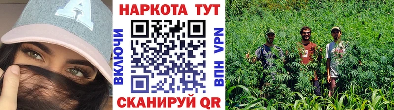Где купить Фролово МАРИХУАНА МЕФ Alpha-PVP Амфетамин Гашиш